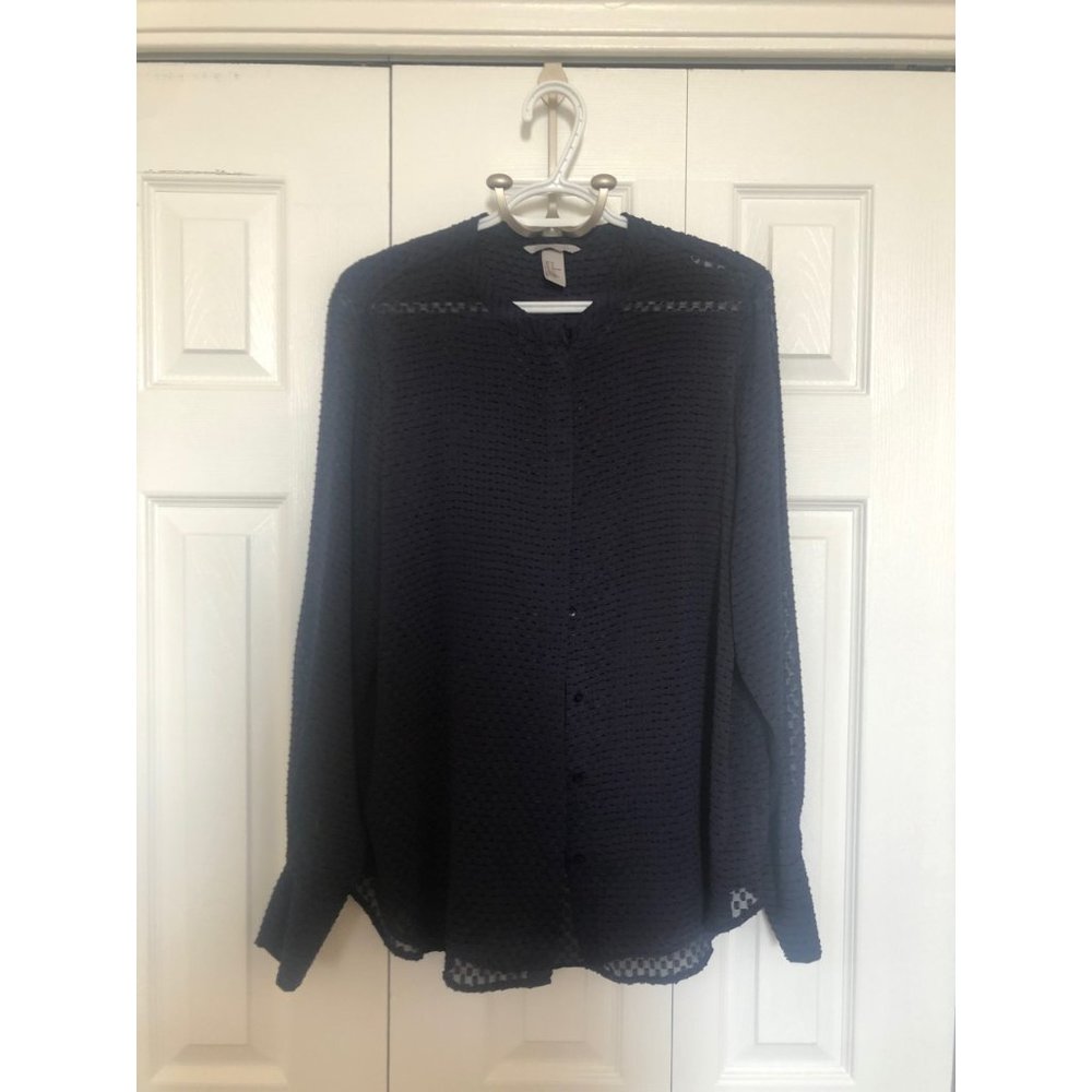 H&M | Sheer Button Down Blouse